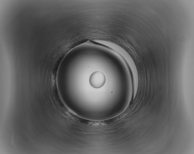 X0000113550621200909181200