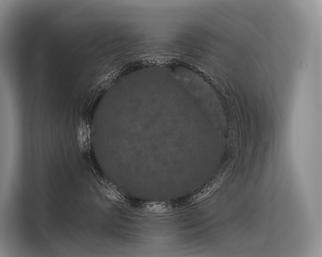 X0000113550624200909181200