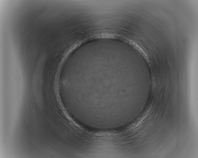 X0000113550625200909181200