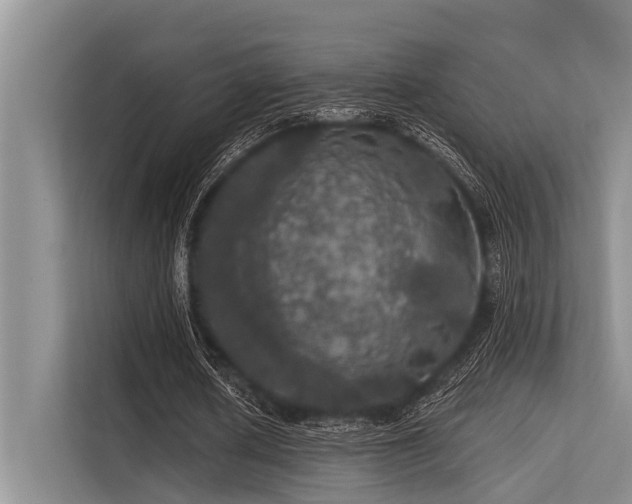 X0000113550626200909181200