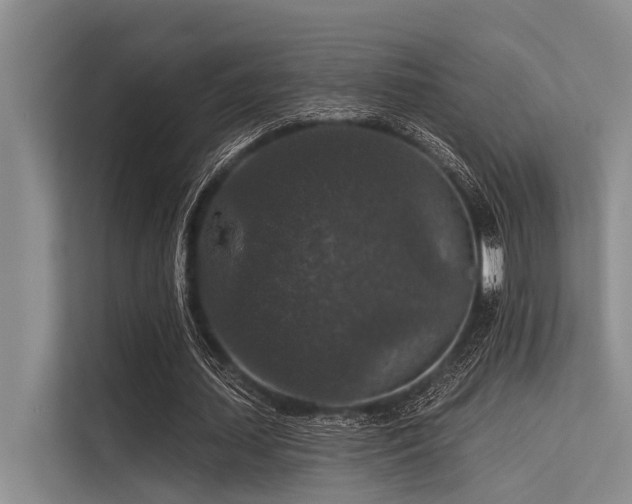 X0000113550627200909181200