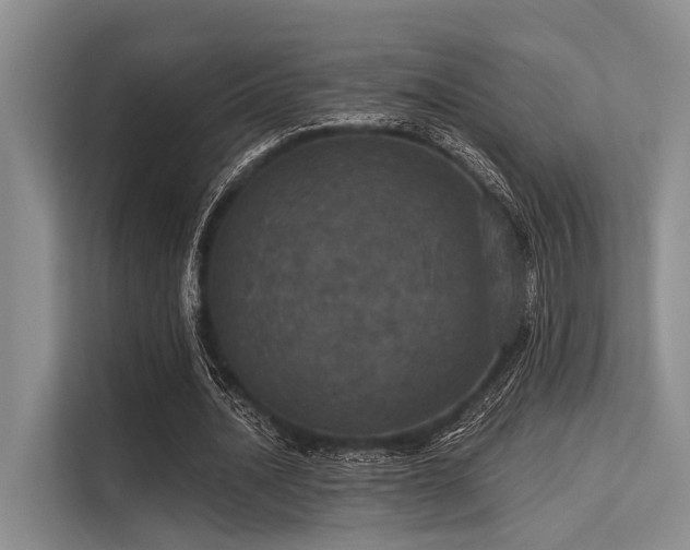 X0000113550628200909181200