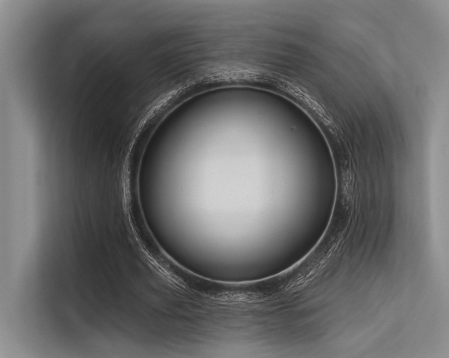 X0000113550629200909181200