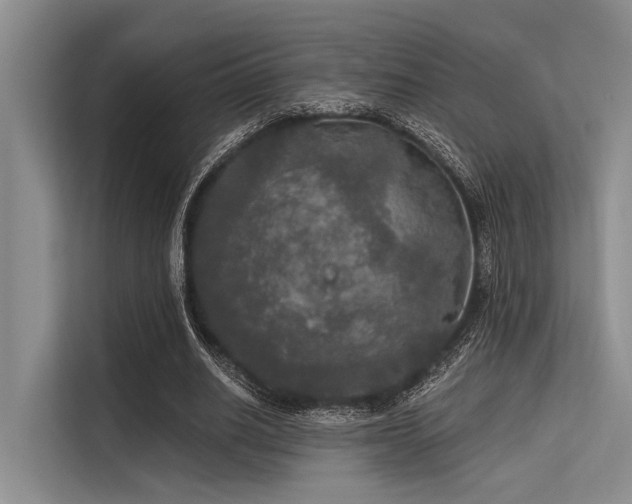 X0000113550630200909181200