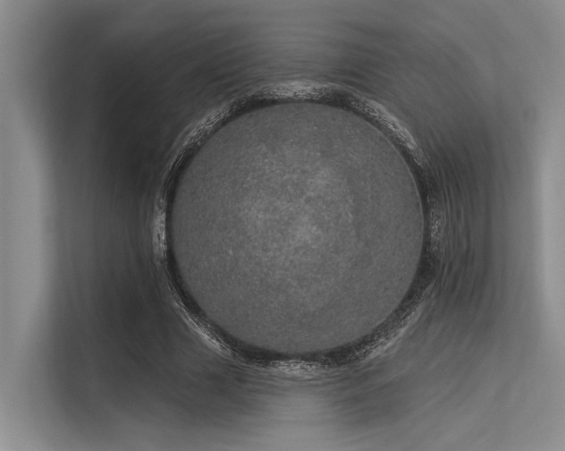 X0000113550633200909181200