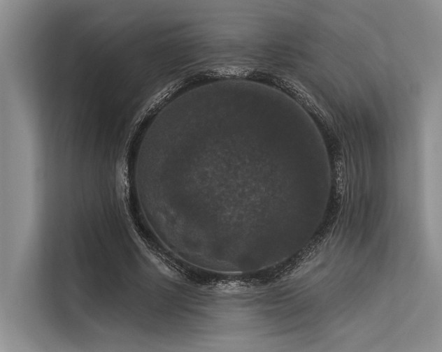 X0000113550634200909181200