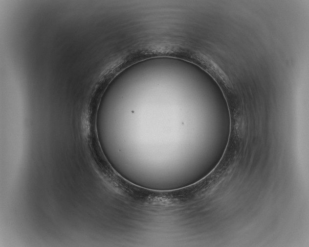 X0000113550635200909181200