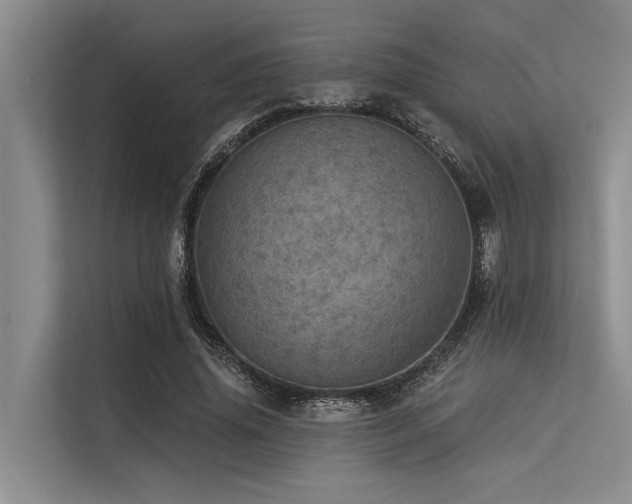 X0000113550636200909181200