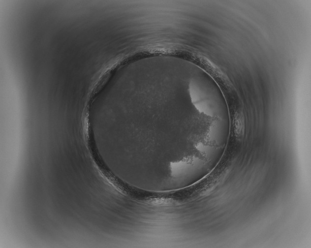 X0000113550637200909181200