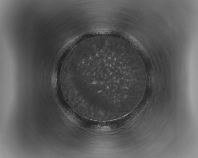 X0000113550640200909181200