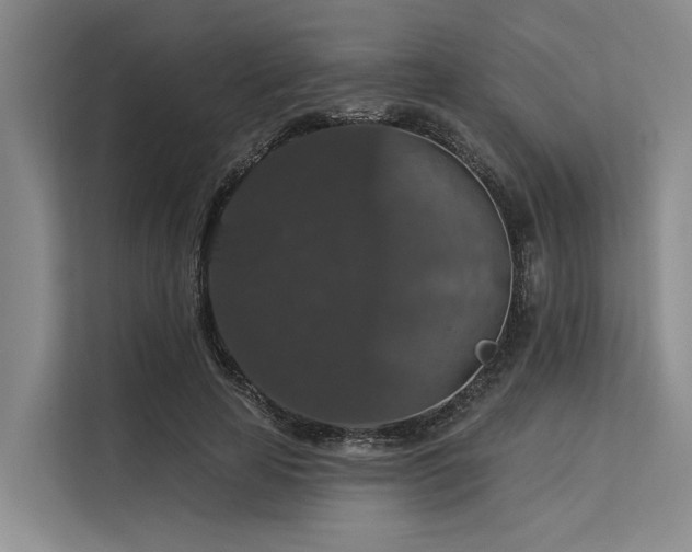 X0000113550641200909181200