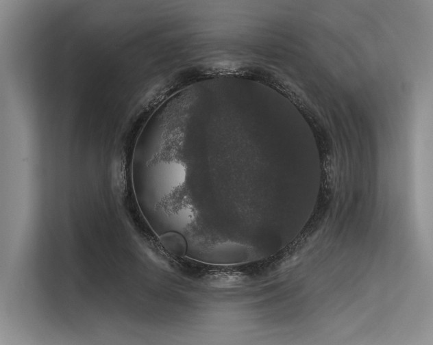 X0000113550642200909181200