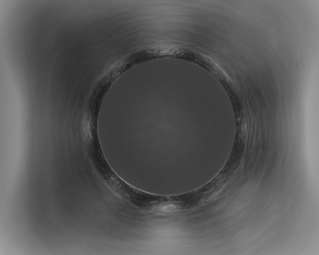 X0000113550643200909181200