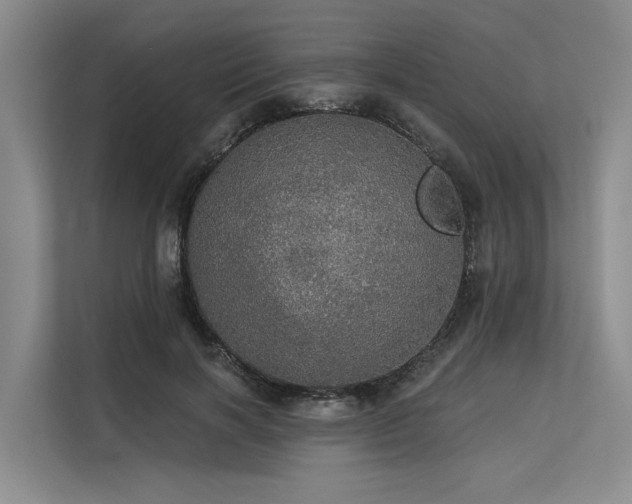 X0000113550646200909181200