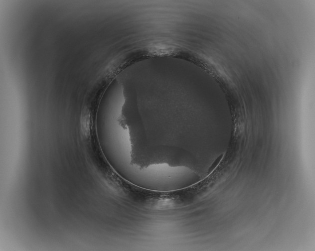 X0000113550647200909181200