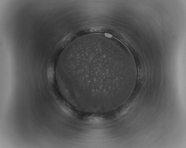 X0000113550648200909181200