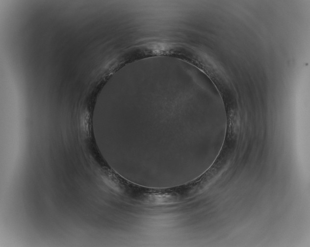 X0000113550650200909181200