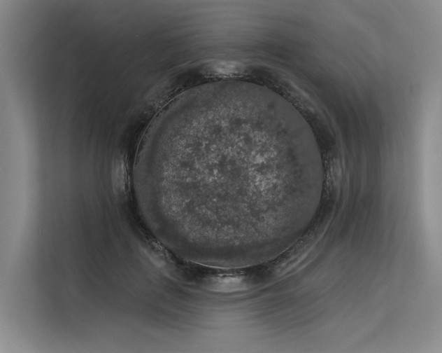 X0000113550651200909181200