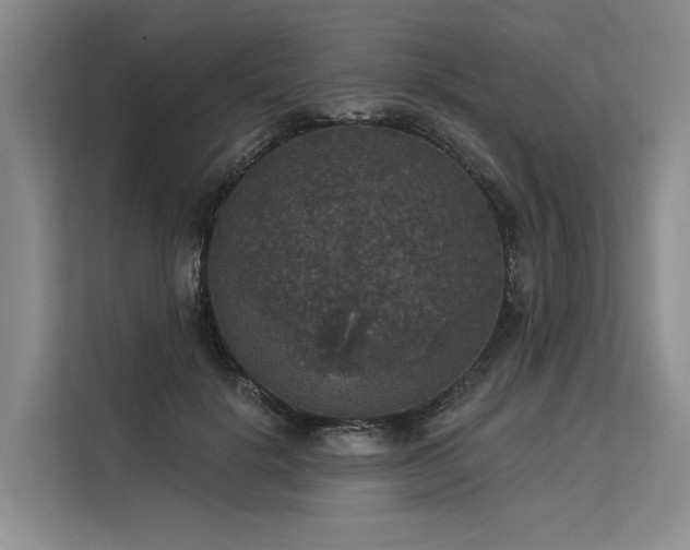 X0000113550652200909181200