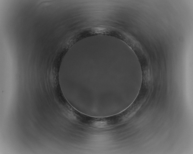 X0000113550653200909181200