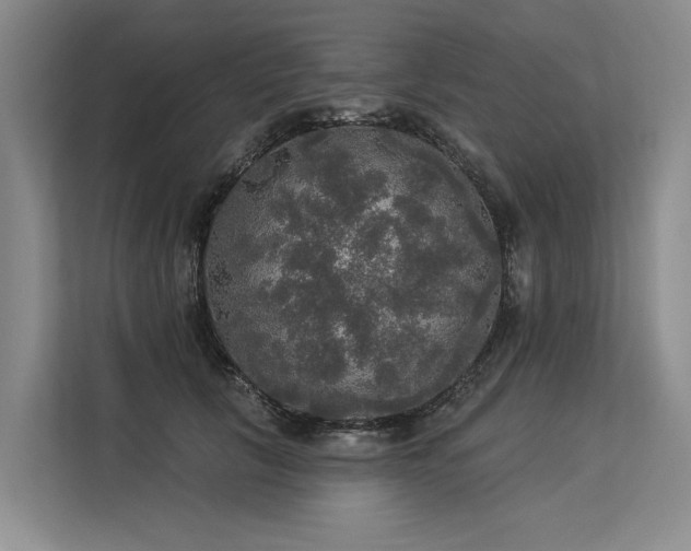 X0000113550657200909181200