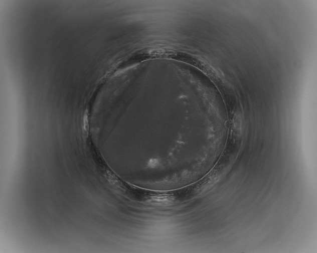 X0000113550659200909181200