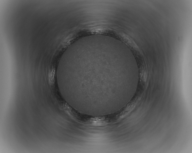 X0000113550660200909181200