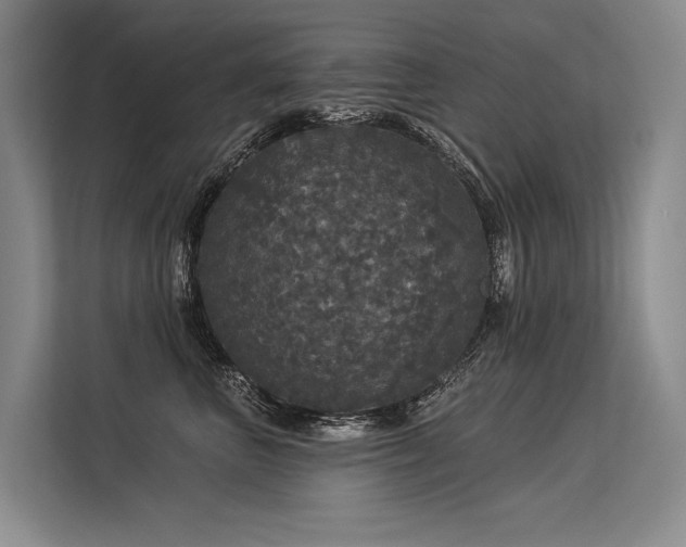 X0000113550667200909181200