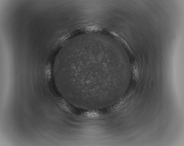 X0000113550668200909181200