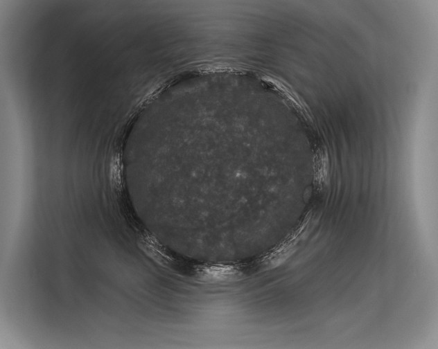 X0000113550669200909181200