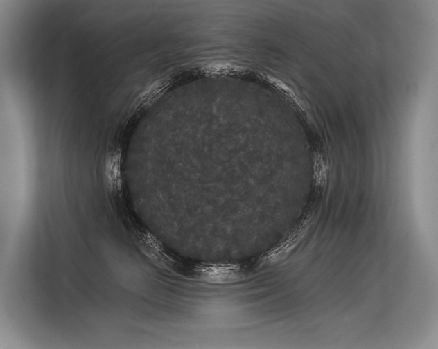 X0000113550670200909181200