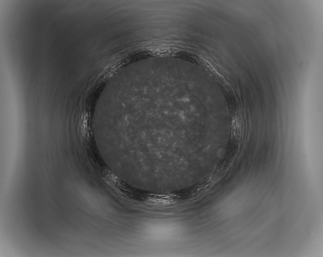 X0000113550671200909181200