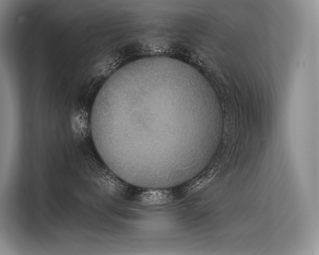 X0000113550672200909181200