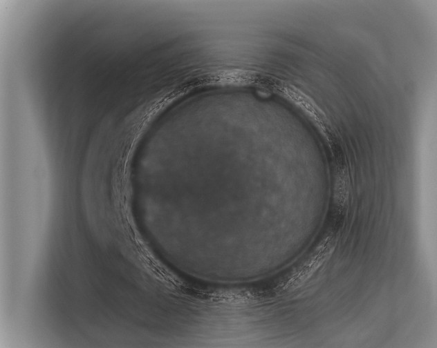 X0000113550673200909181200