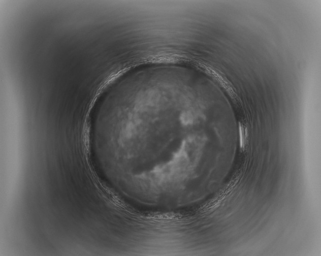 X0000113550675200909181200