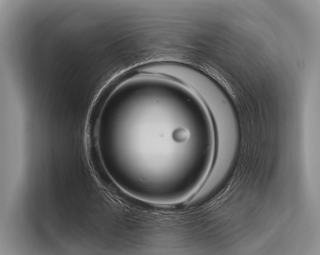 X0000113550676200909181159