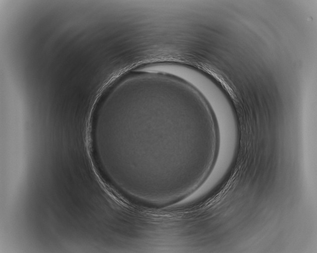 X0000113550677200909181159