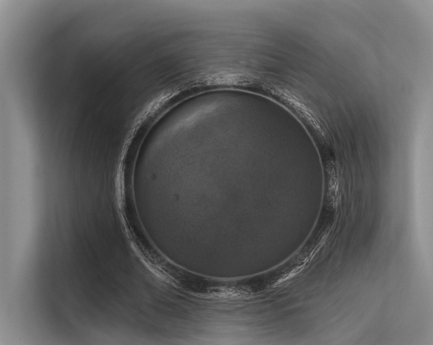 X0000113550678200909181159