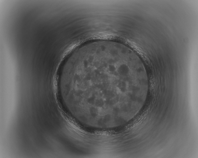 X0000113550679200909181159