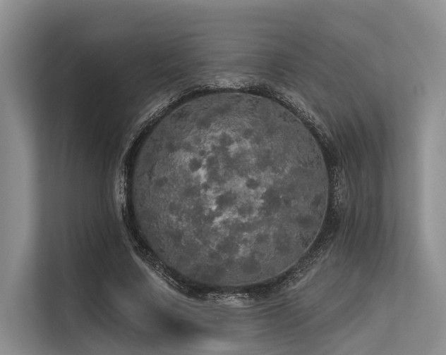 X0000113550683200909181159