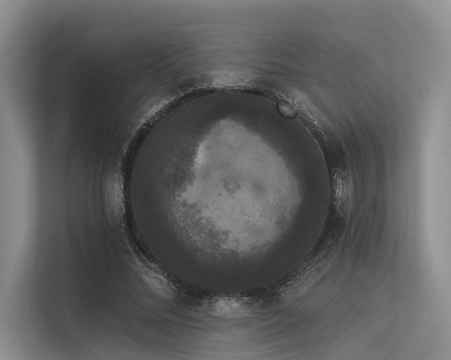 X0000113550684200909181159