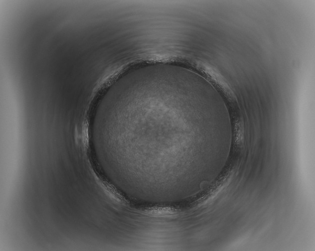 X0000113550685200909181159