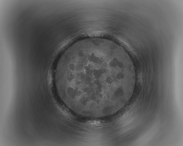 X0000113550687200909181159