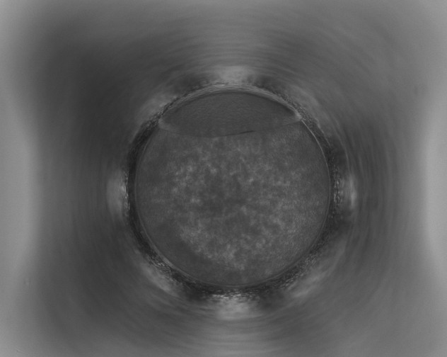 X0000113550688200909181159