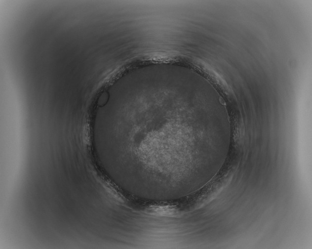 X0000113550689200909181159