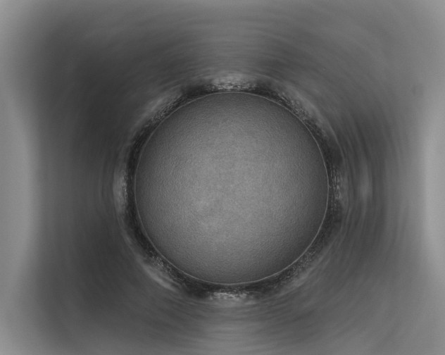 X0000113550690200909181159