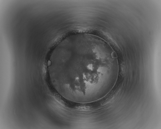 X0000113550691200909181159