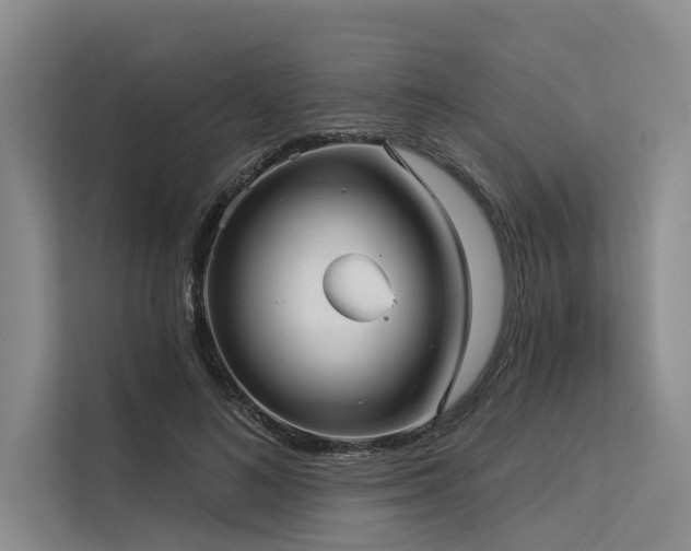 X0000113550692200909181159