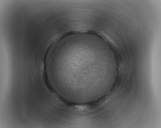 X0000113550693200909181159