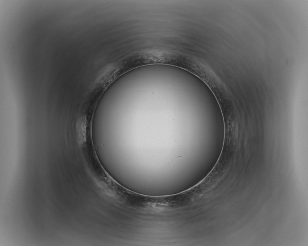 X0000113550694200909181159